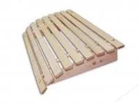 Подголовник анатомический большой, ОЛЬХА