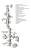 фото Зонт Д Ferrum AISI 430-0,5
